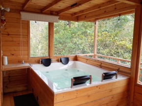 Ecocabañas B&B - Cabaña de lujo con jacuzzi privado cerca a termales